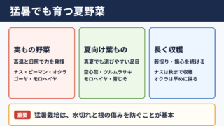 猛暑に強い野菜の種類
