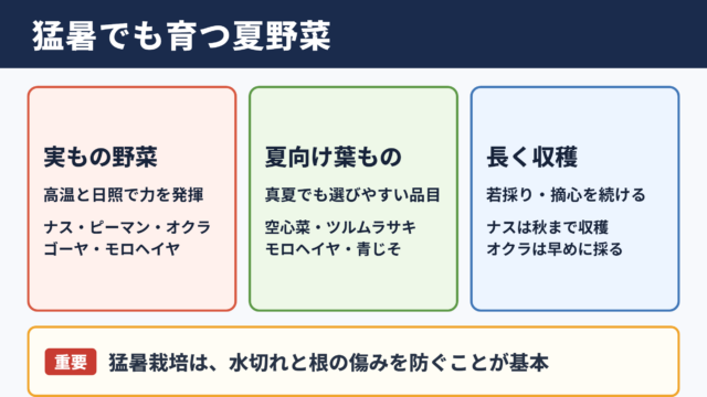猛暑に強い野菜の種類