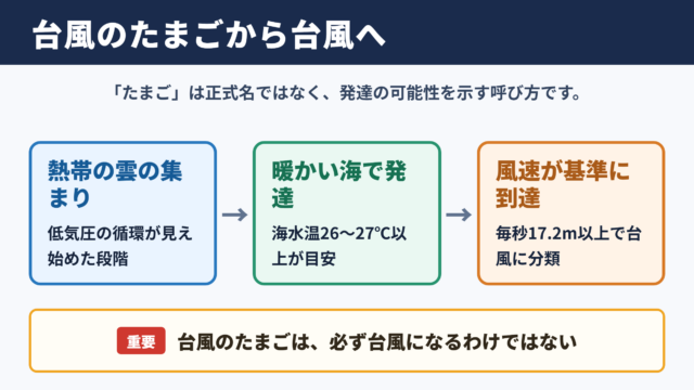 台風のたまごの意味と台風への発達条件