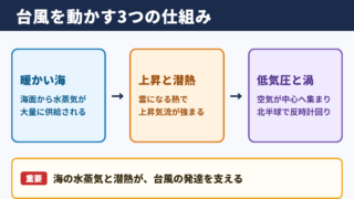 台風発生の基本構造