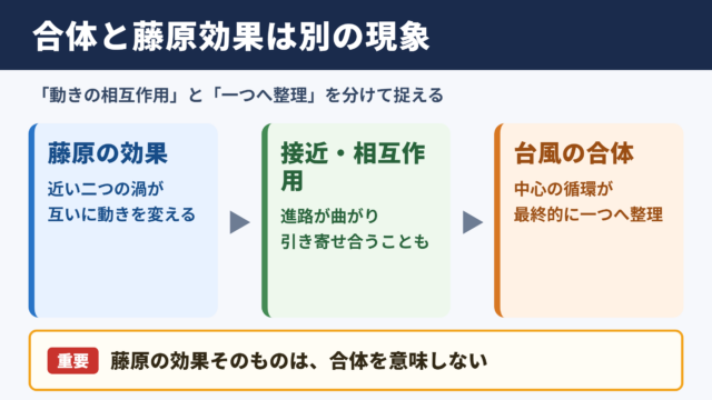 台風の合体と藤原の効果の結論